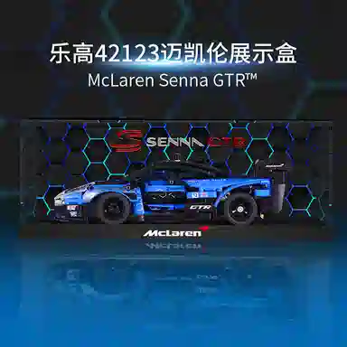 LIGHT YOUR BRICKS 42123GTR