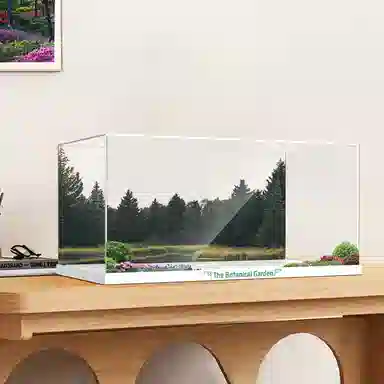 LIGHT YOUR BRICKS 21353