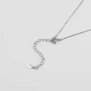 卡铂雅 高级设计感 不锈钢 项链 女款