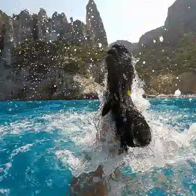 Vibram FiveFingers Black