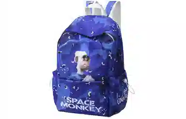 DRACONITE X HAPE X Space Monkey