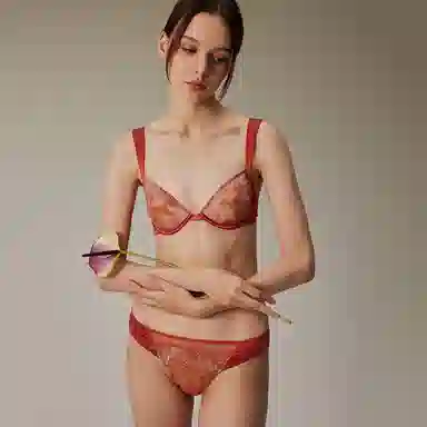弗利少女 法式网纱刺绣蕾丝文胸软钢圈性感小胸内衣裤套装 女款 赤霞色