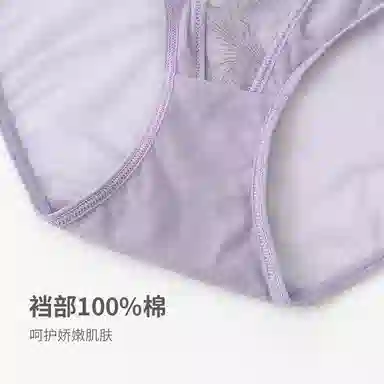 弗利少女 缎面网纱拼接百合提花性感三角内裤 女款
