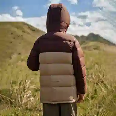 PELLIOT 650