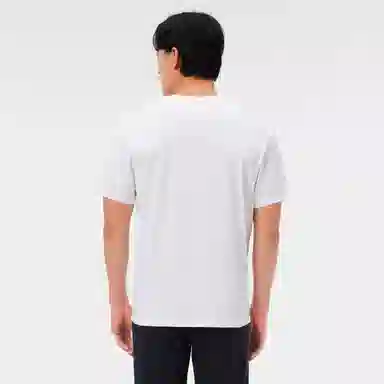 PELLIOT T24