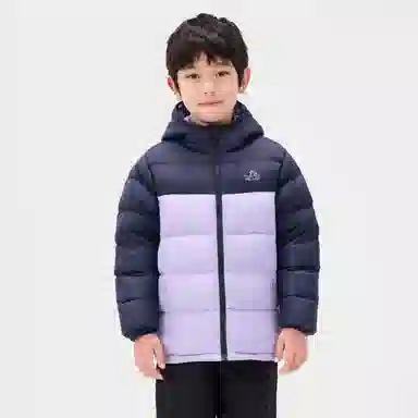 PELLIOT 650