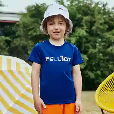 PELLIOT T