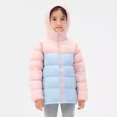 PELLIOT 650