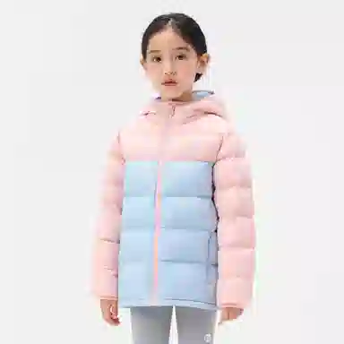 PELLIOT 650