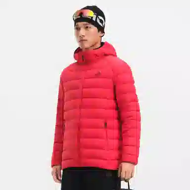 PELLIOT 800