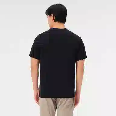 PELLIOT T24
