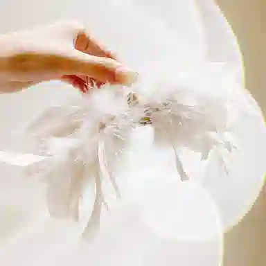 白卷 优雅时尚后脑勺盘发羽毛发夹 大号鲨鱼夹 女款 闺蜜款