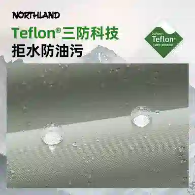 NORTHLAND PROFESSIONAL