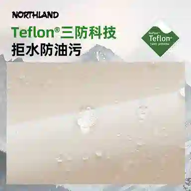 NORTHLAND PROFESSIONAL