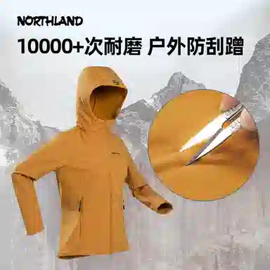 NORTHLAND PROFESSIONAL