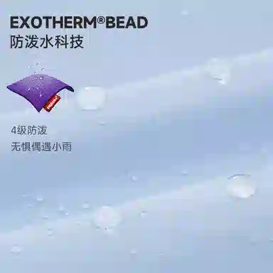 NORTHLAND PROFESSIONAL