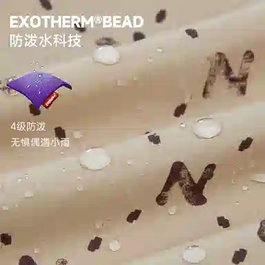 NORTHLAND PROFESSIONAL