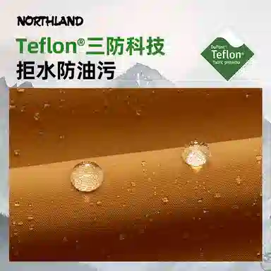 NORTHLAND PROFESSIONAL