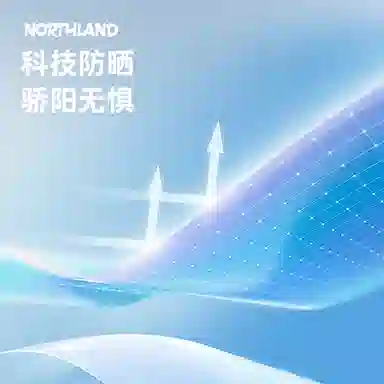 NORTHLAND PROFESSIONAL