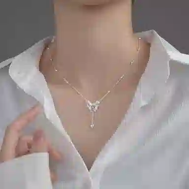 ins 990