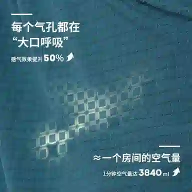 FLIPBELT 3.0Pro
