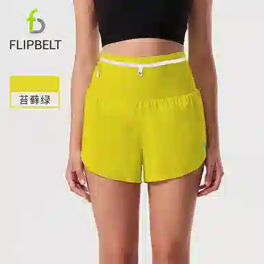 FLIPBELT FlipBelt