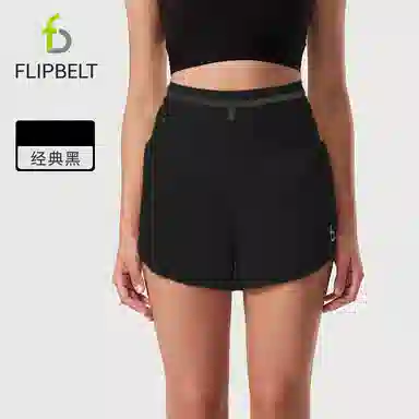 FLIPBELT FlipBelt