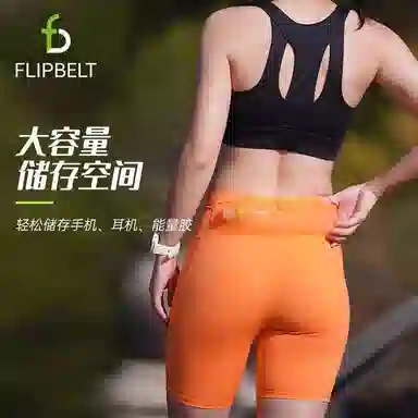 FLIPBELT