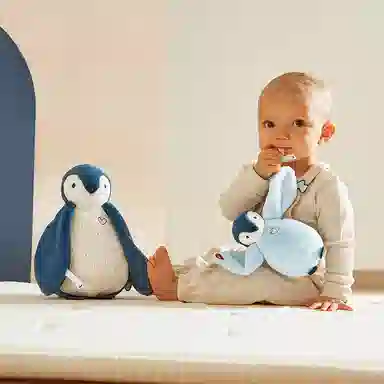 Kaloo 25cm15cm