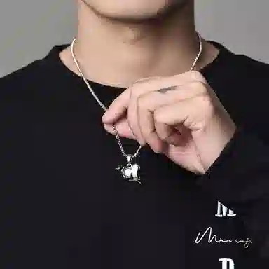 MYSH 925