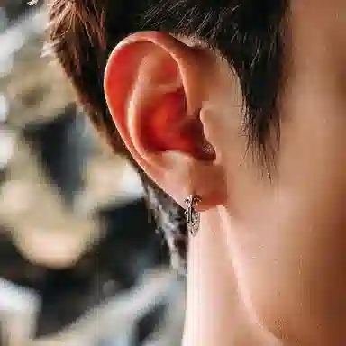 MYSH 925