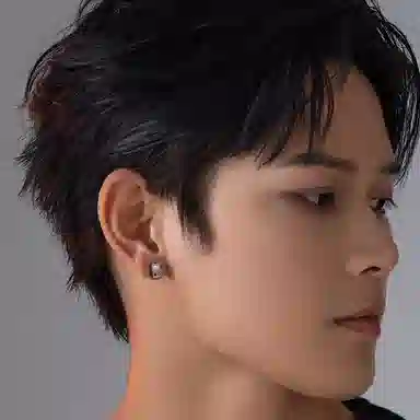 SINCE YOU S925 Silver Earrings