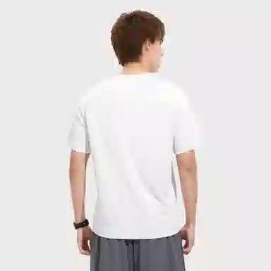 hummel T