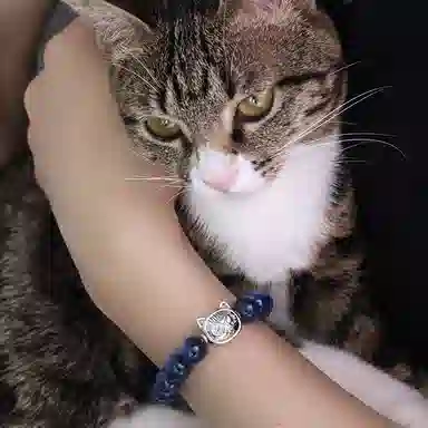PEACE CAT