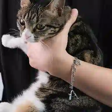 PEACE CAT