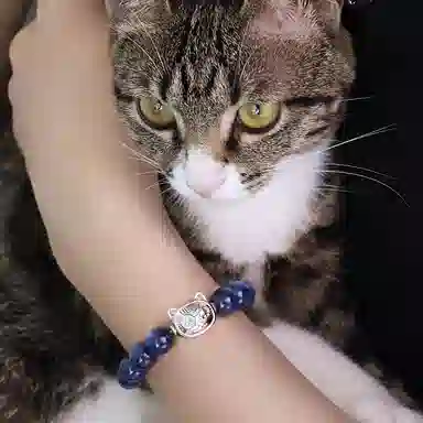 PEACE CAT