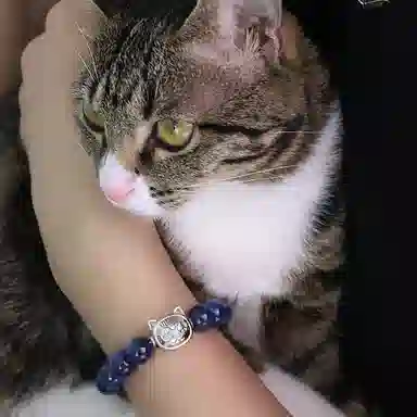 PEACE CAT