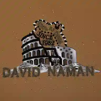 DAVID NAMAN T