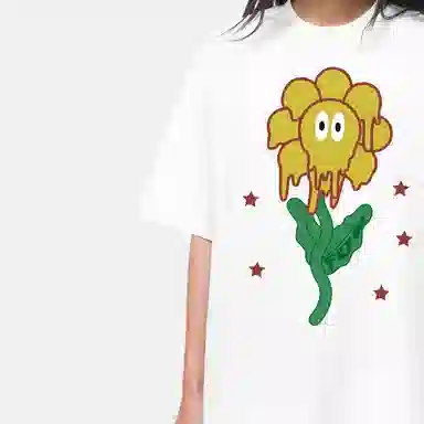 FDR T