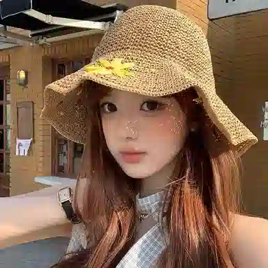 艾佳微 夏季大帽檐小雏菊遮阳防晒草帽海边度假沙滩透气凉帽 草编 渔夫帽 女款