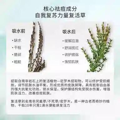 倾龄 复活草祛痘修护补水保湿舒缓面膜 滋润 多种肤质
