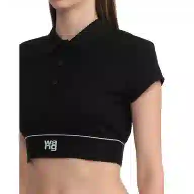 alexander wang Logo T