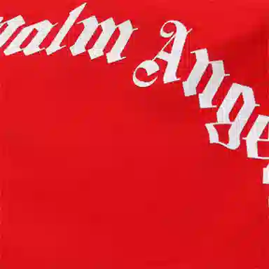 PALM ANGELS Logo