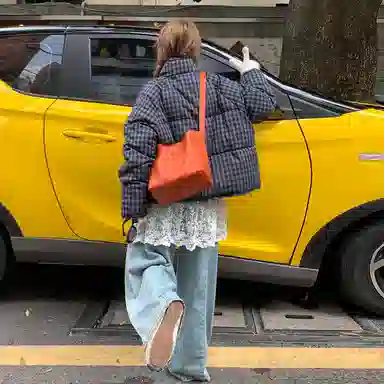 红蜻蜓 立领格纹防风棉衣外套休闲百搭保暖棉袄时尚宽松冬季棉服 男女同款