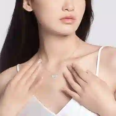 ins S925