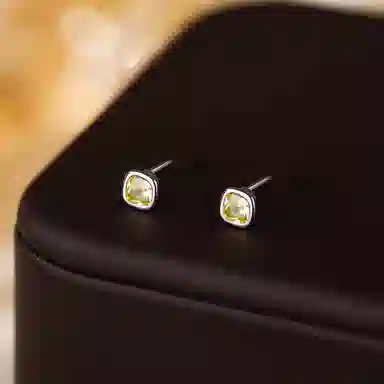 ins 925