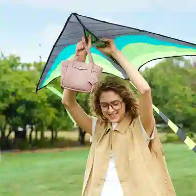 LA FESTIN Kite Series