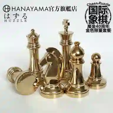 HANAYAMA Puzzle
