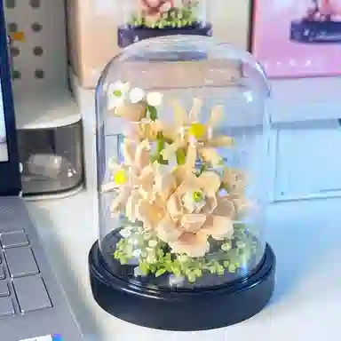 HAKASSA ORIGINALS 0-300pcs KOB-01