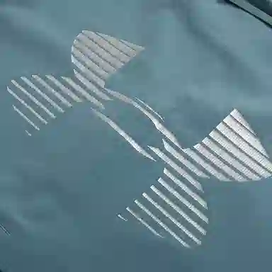 Under Armour Storm FW25 Velociti Pro